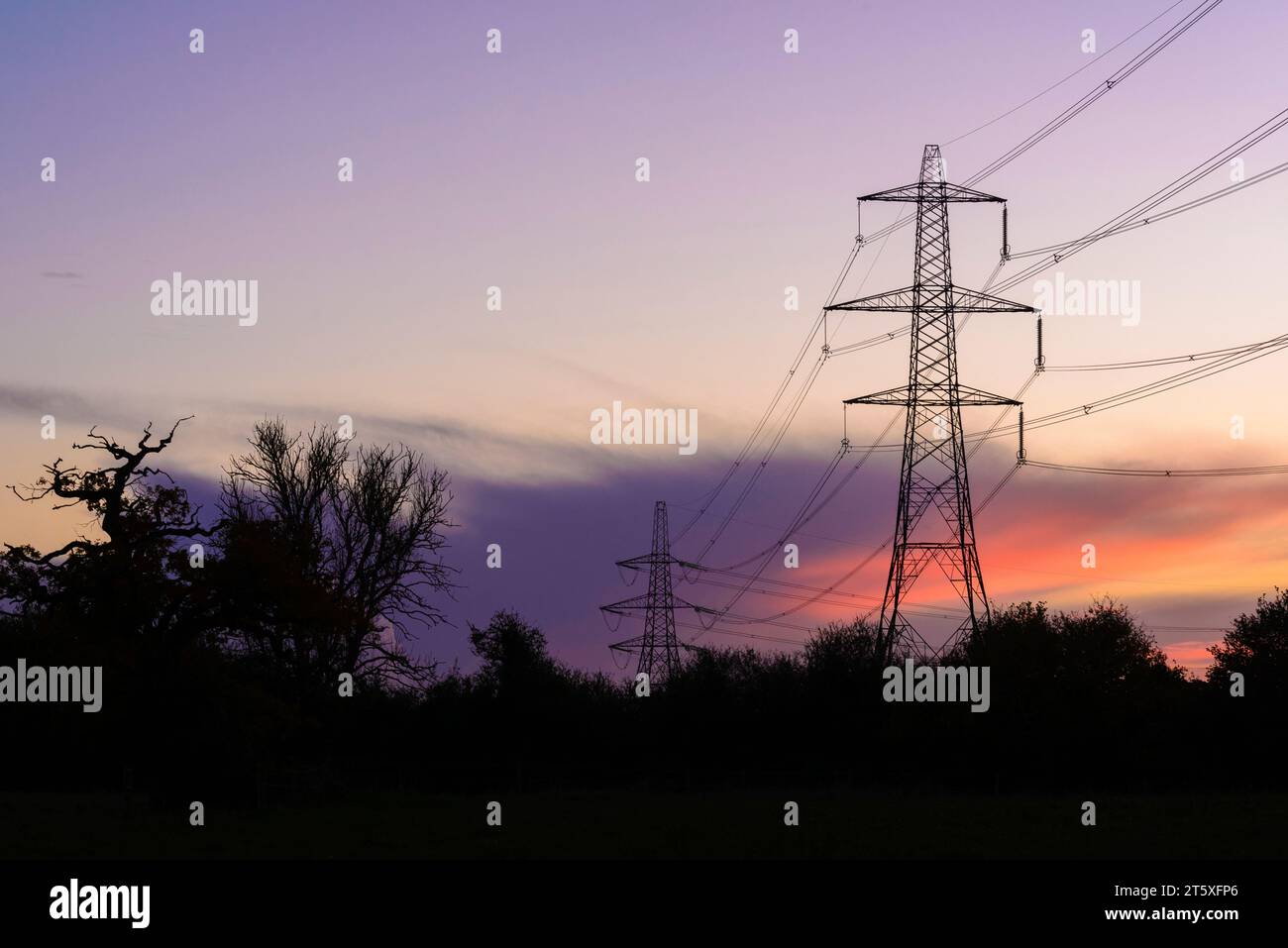 National Grid Pylons im Abendlicht, Dämmerung, Großbritannien Stockfoto