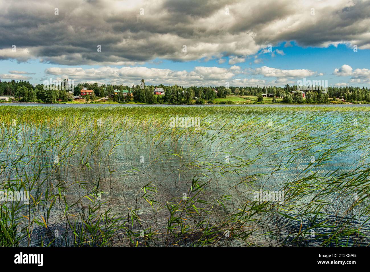 Tårrajaur, Rastplatz entlang der E45, Panorama des Tårrajaure-Sees umgeben von Nadelwäldern mit bewölktem Himmel. Gemeinde Jokkmokk, Kreis Artict Stockfoto