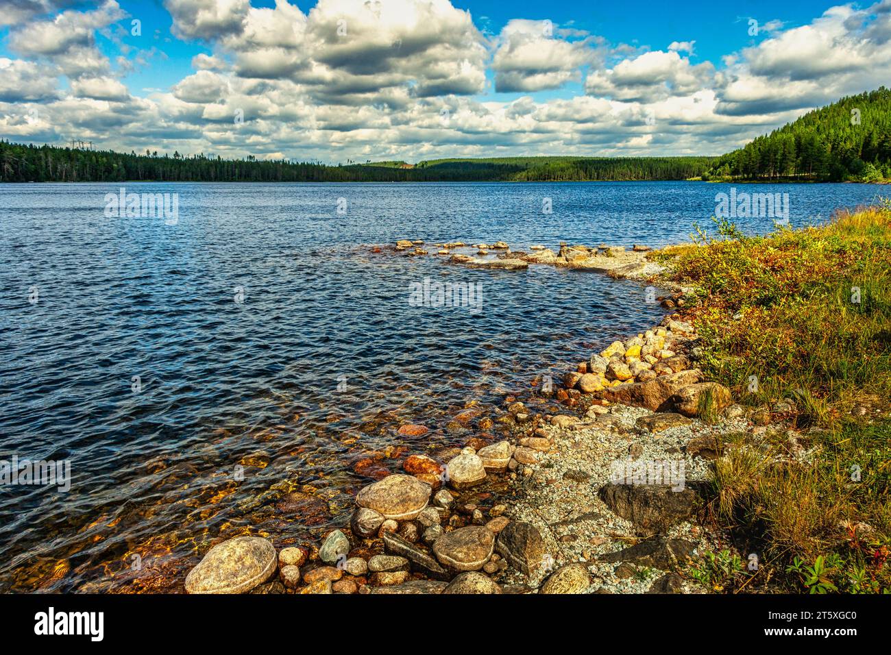 Das steinige Ufer des Öst-Kieratjärn-Sees, umgeben von Nadelwäldern. Jokkmokk, Norrbotten, Polarkreis, Schweden Stockfoto