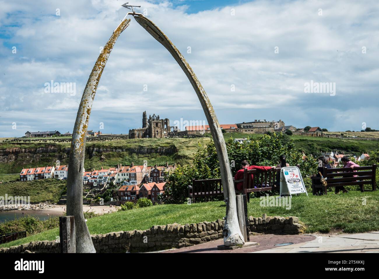 Durch die Whale Bones Raymond Boswell Stockfoto