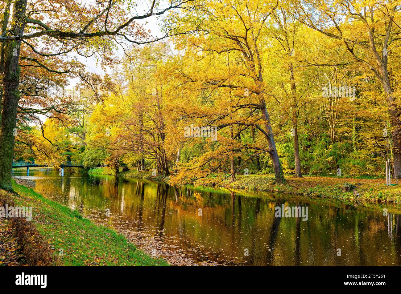Sonnige Herbststimmung an einem kleinen Bach in Berlin. Stockfoto