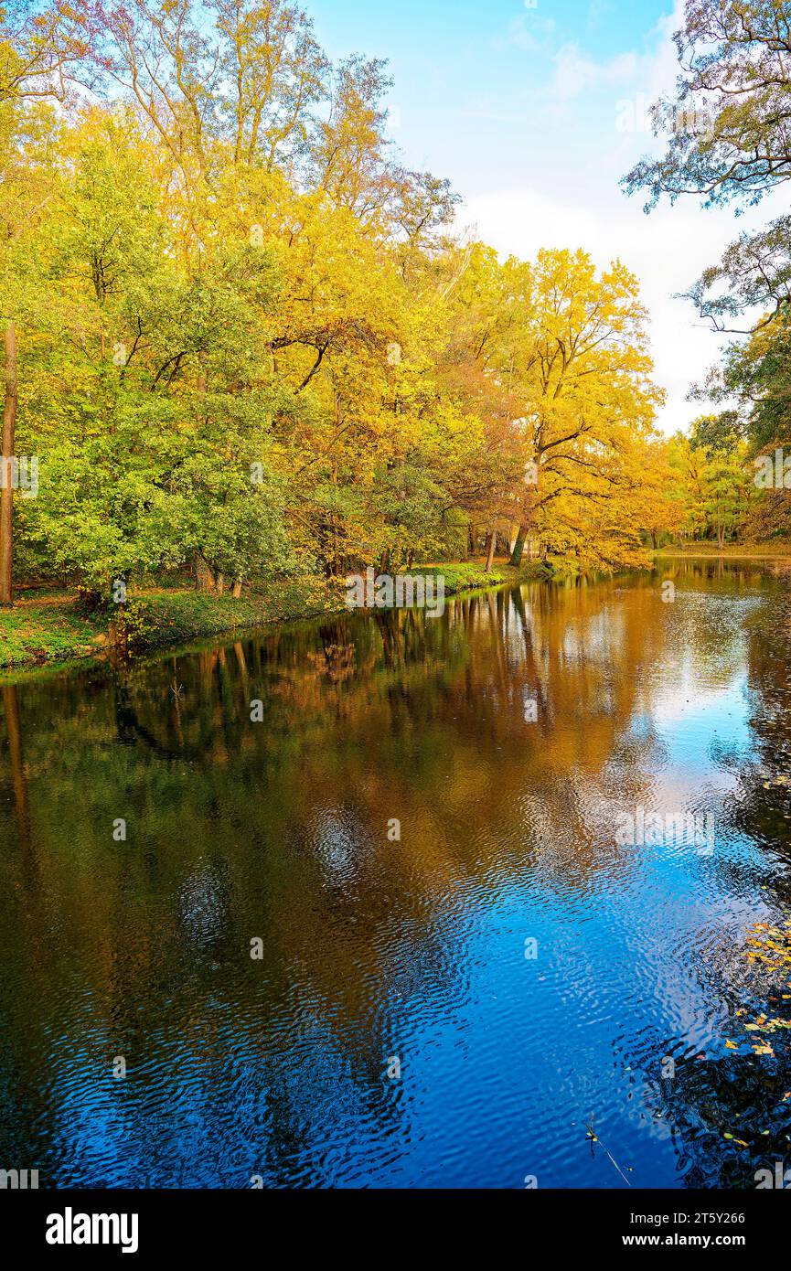 Sonnige Herbststimmung an einem kleinen Bach in Berlin. Stockfoto