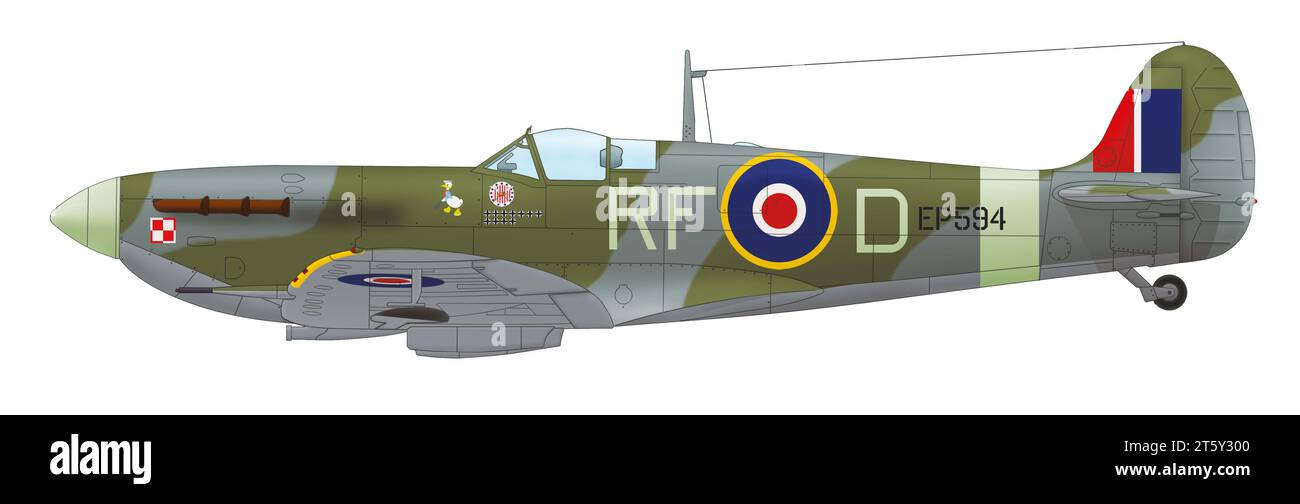 Supermarine Spitfire Mk Vb (EP594, RF-D) der polnischen 303. Raketenflotte RAF unter dem Piloten Jan Zumbach, August bis September 1942 Stockfoto