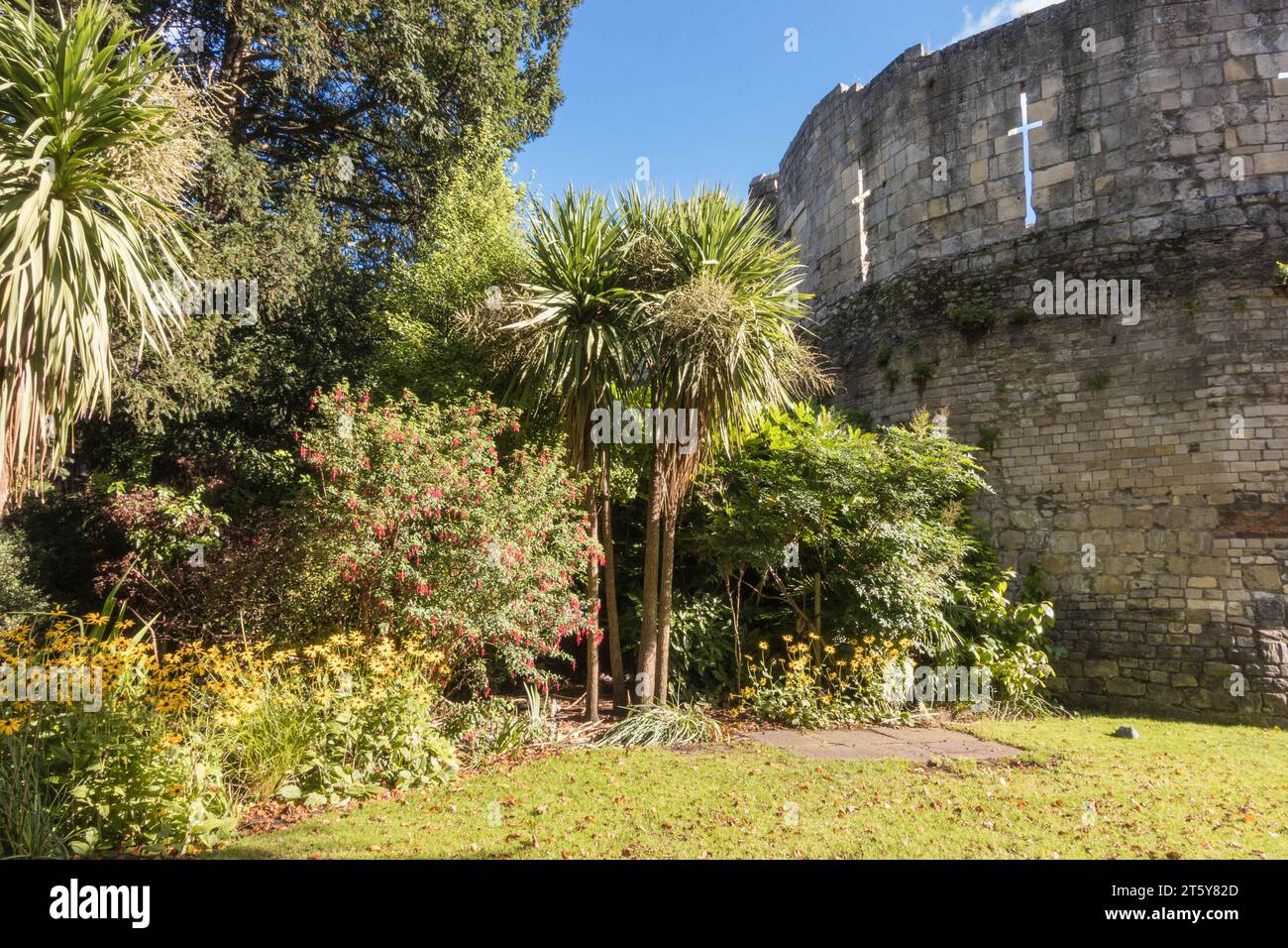 Eine ruhige Ecke im Museumsgarten York mit den Überresten der St. Mary's Abbey, England Großbritannien. Oktober 2023 Stockfoto