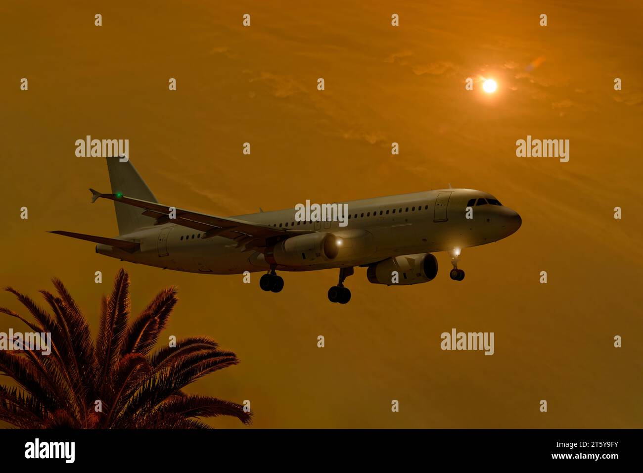 Das Flugzeug landet in Richtung Sonnenuntergang. Airbus A320-200 ohne Lackierung. Stockfoto