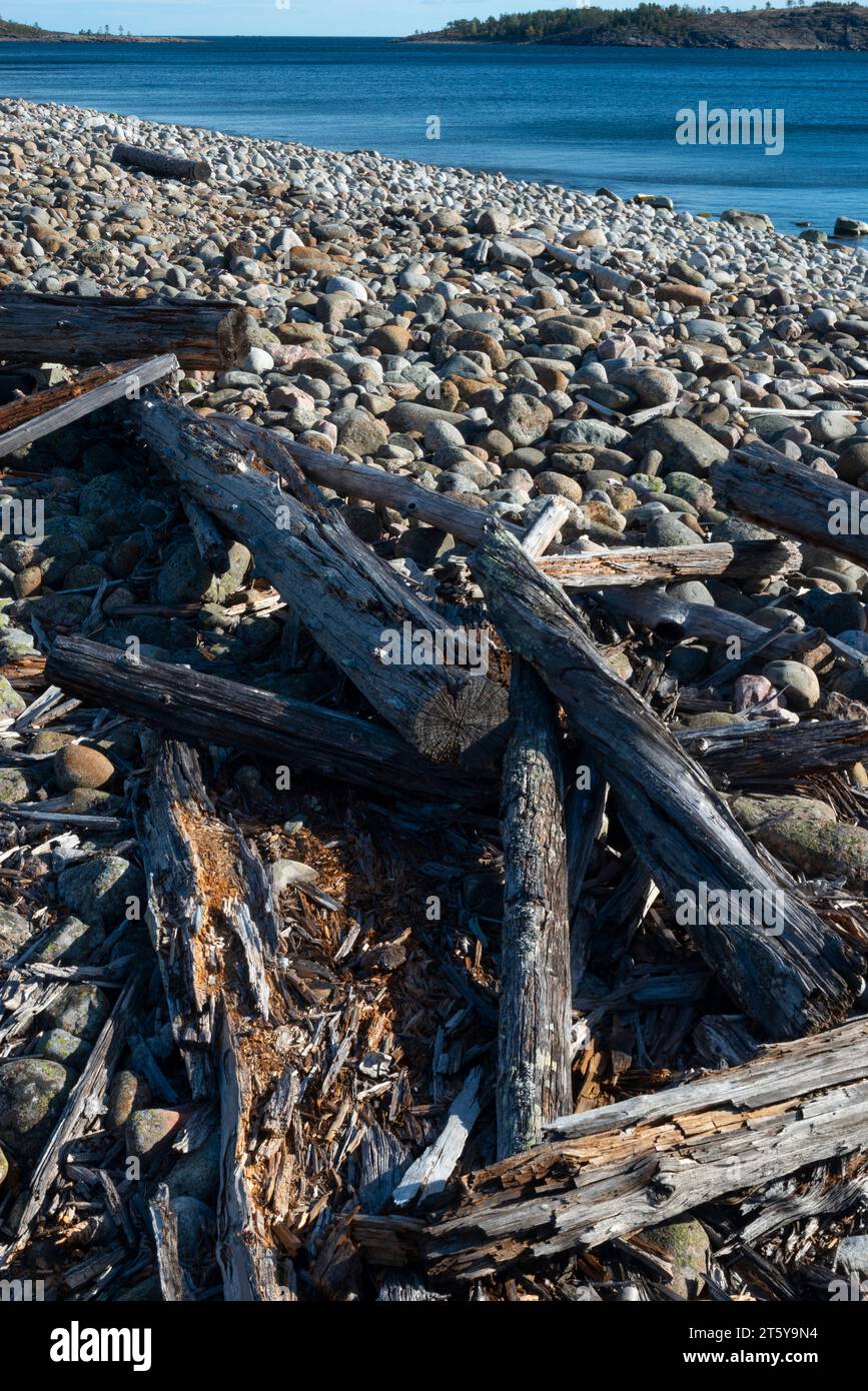 Vertreiben Sie Holz am steinigen Strand Stockfoto