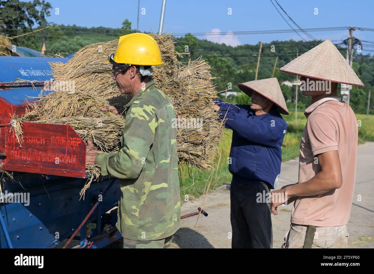 VIETNAM, Provinz Yen Bai, Cam Nhan, Landwirt dreschen Reis nach der Ernte mit kleiner mobiler Dreschmaschine / Gemeinde Cam Nhan, Dreschmaschine für Reis, Kleinbauern dreschen Reis nach der Ernte Stockfoto