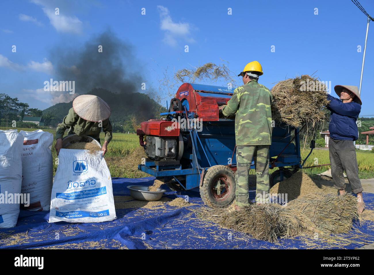 VIETNAM, Provinz Yen Bai, Cam Nhan, Landwirt dreschen Reis nach der Ernte mit kleiner mobiler Dreschmaschine / Gemeinde Cam Nhan, Dreschmaschine für Reis, Kleinbauern dreschen Reis nach der Ernte Stockfoto