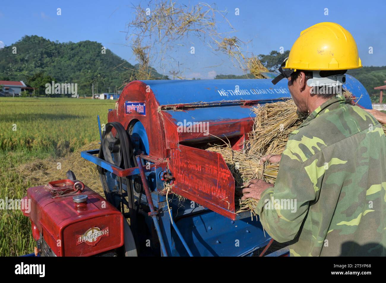 VIETNAM, Provinz Yen Bai, Cam Nhan, Landwirt dreschen Reis nach der Ernte mit kleiner mobiler Dreschmaschine / Gemeinde Cam Nhan, Dreschmaschine für Reis, Kleinbauern dreschen Reis nach der Ernte Stockfoto