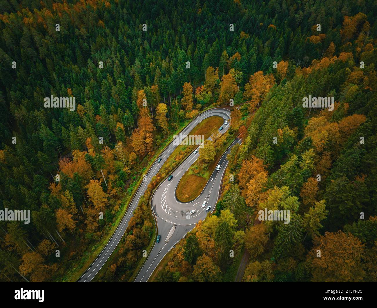 S-Bogen im tiefen Herbstwald, Hirsau, Calw, Schwarzwald, Deutschland Stockfoto