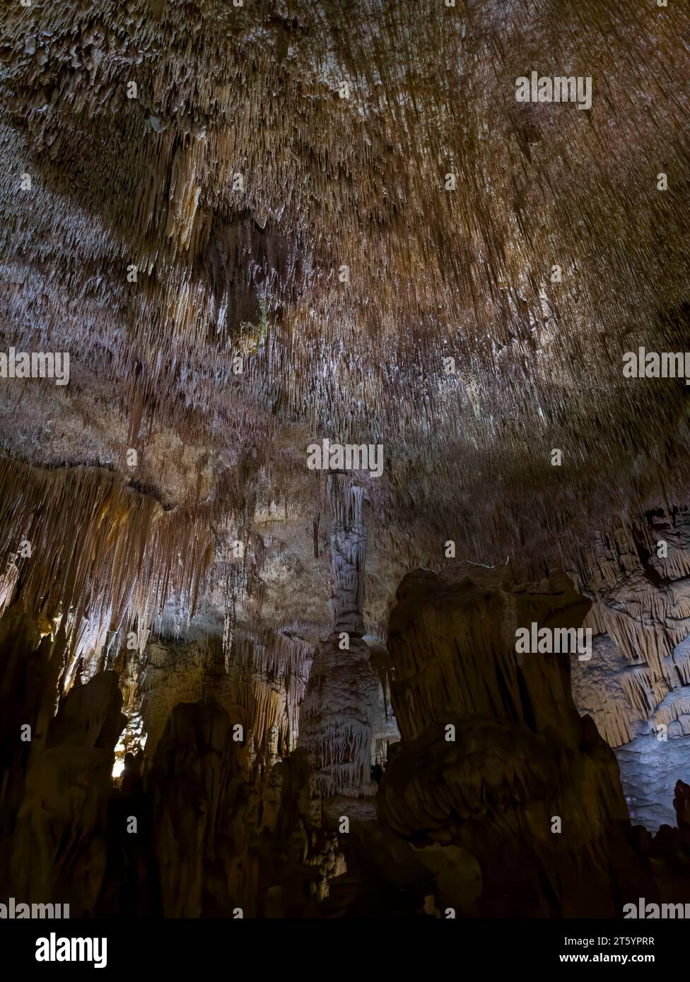 Höhlen von Drach, Buchten del DRAC, Porto Christo, Mallorca, Balearen, Spanien, Mittelmeer Stockfoto