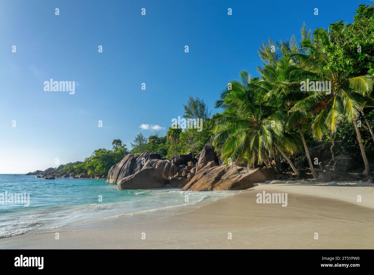 Palmen und Granitfelsen in Anse Lazio, malerischer Strand auf Praslin Island, Seychellen Stockfoto
