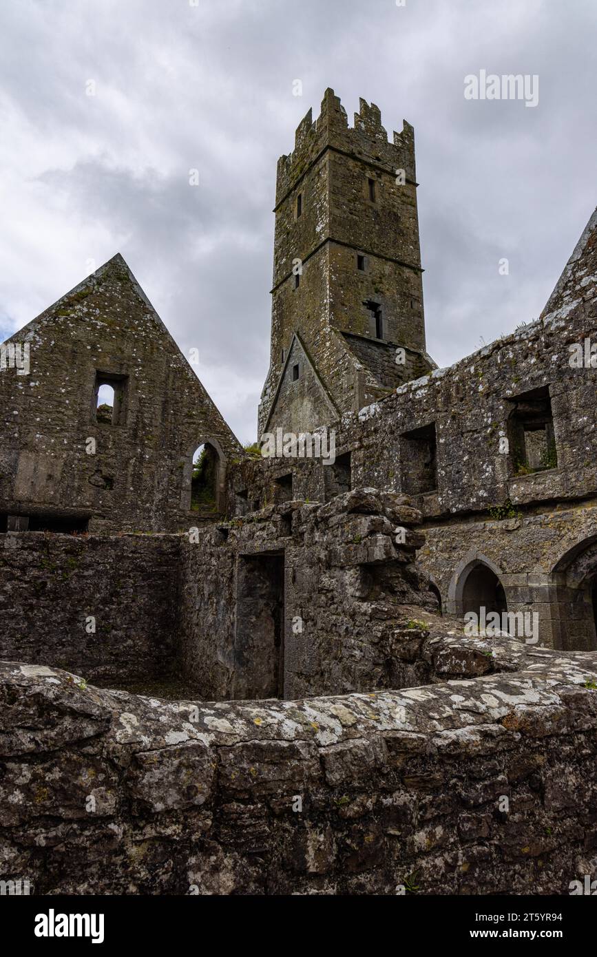 Das Kloster Ross, County Galway, Irland Stockfoto