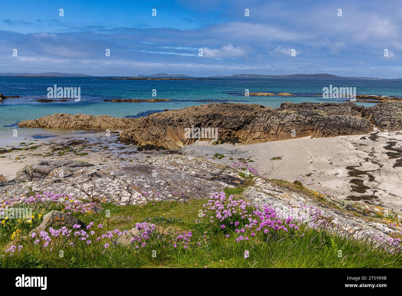 Anchor Beach, Connemara Coast, County Galway, Irland Stockfoto