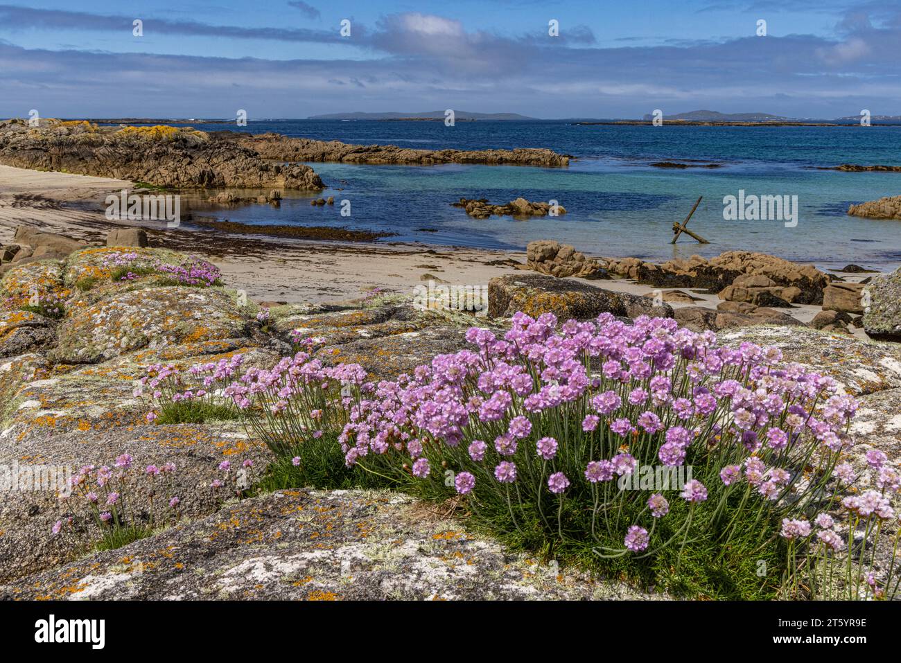 Anchor Beach, Connemara Coast, County Galway, Irland Stockfoto