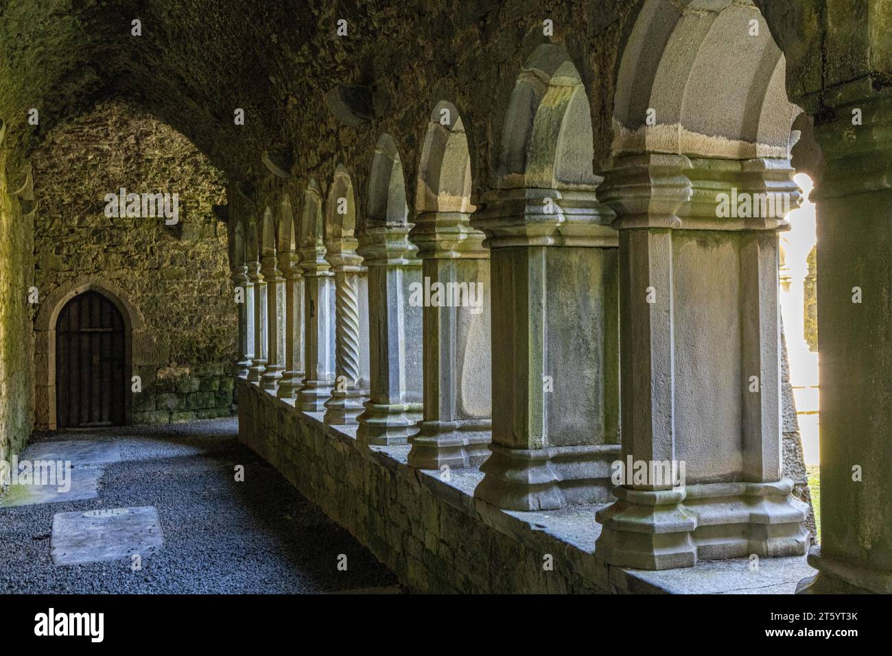 Quin Abbey, Clare, Irland Stockfoto