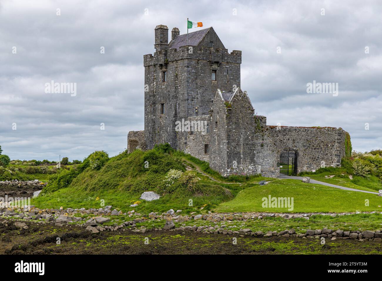 Dunguaire Castle, County Galway, Irland Stockfoto
