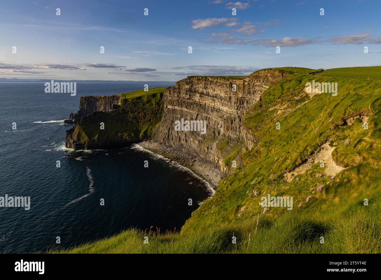 Klippen von Moher, Clare, Irland Stockfoto