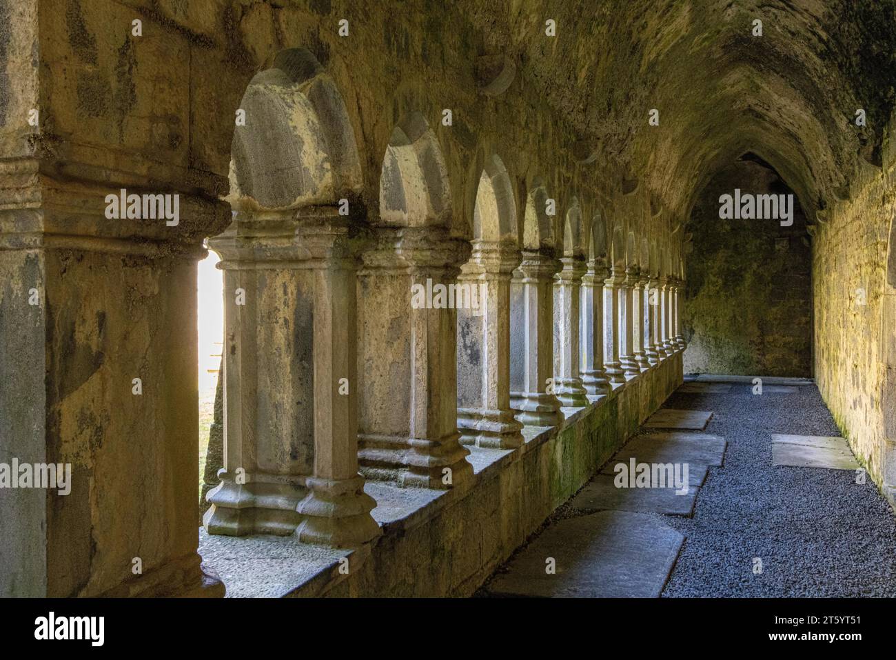 Quin Abbey, Clare, Irland Stockfoto