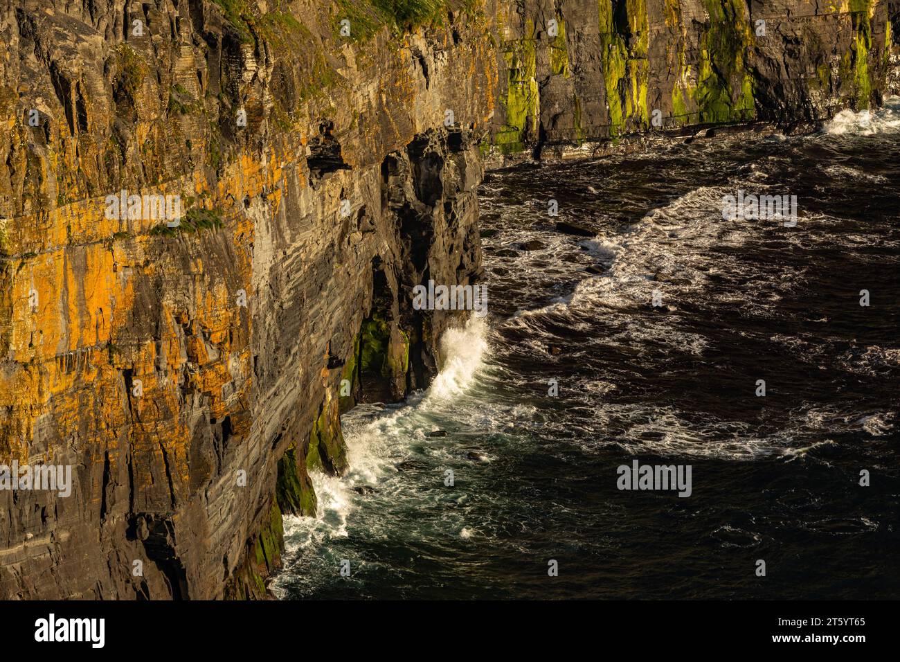 Klippen von Moher, Clare, Irland Stockfoto