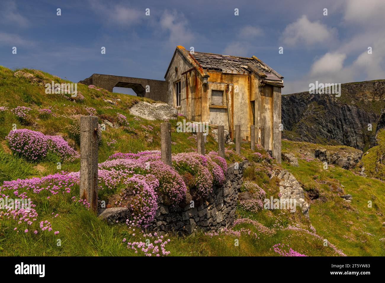 Mizen Head, Südwestspitze Irlands, County Cork, Irland Stockfoto