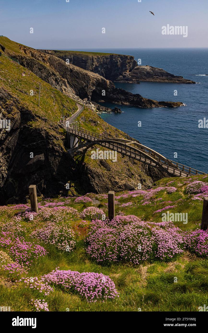 Mizen Head, Südwestspitze Irlands, County Cork, Irland Stockfoto