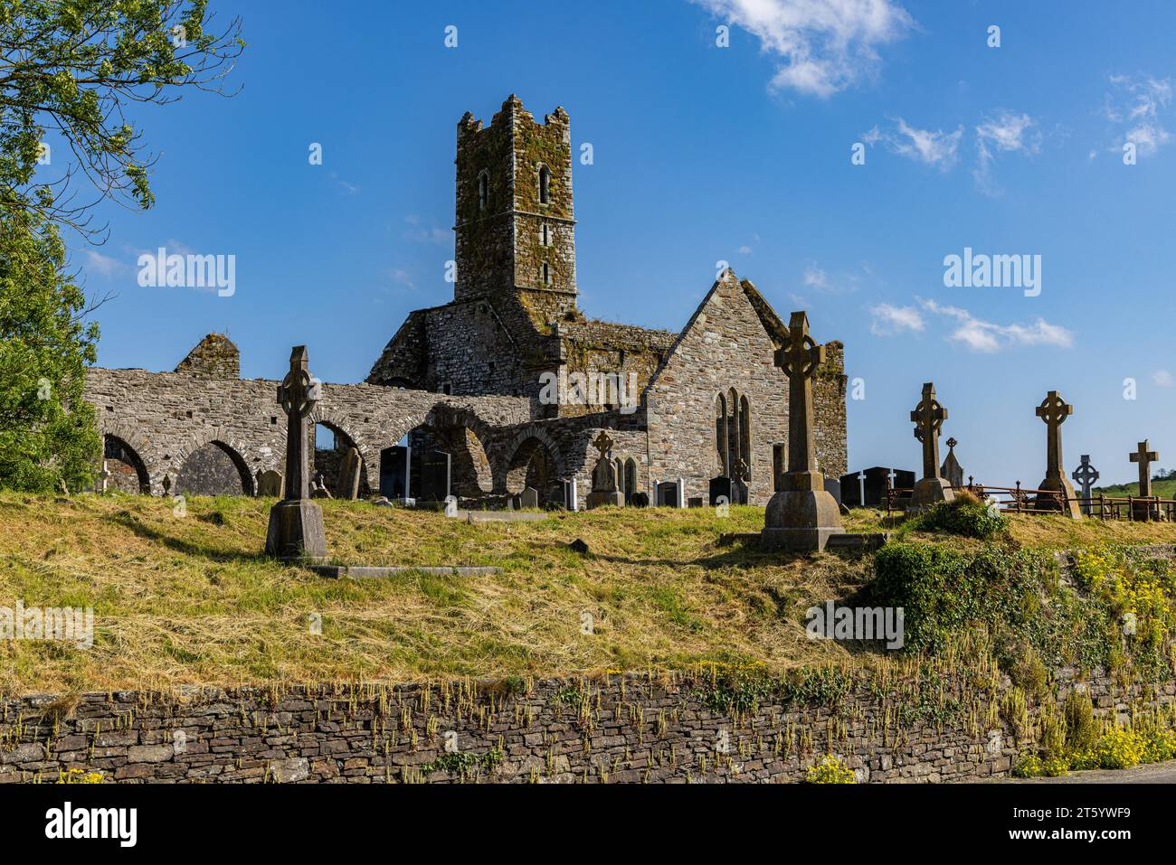 Timoleague Abbey, County Cork, Irland Stockfoto