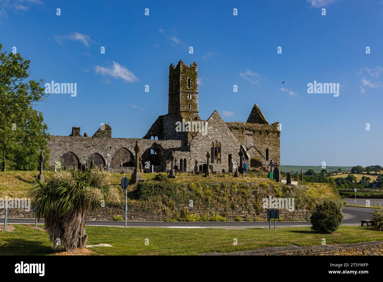 Timoleague Abbey, County Cork, Irland Stockfoto