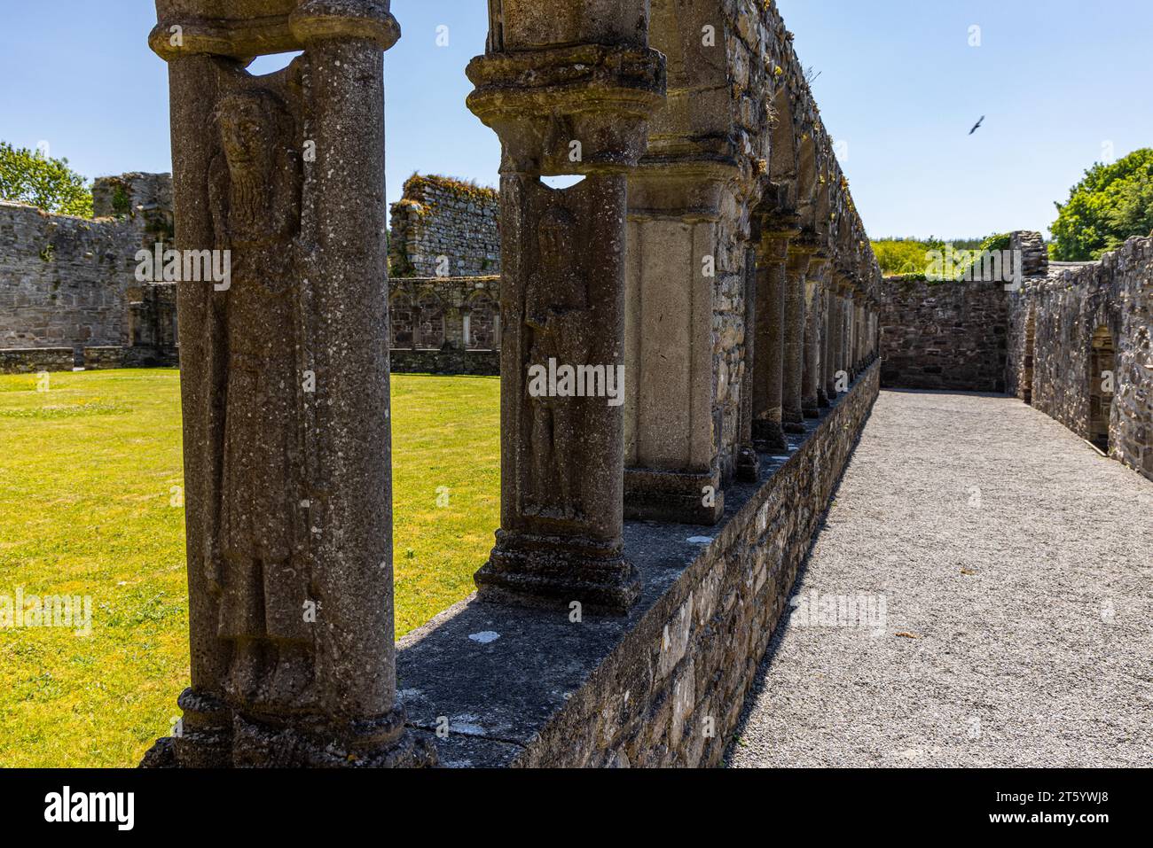 Jerpoint Abbey, Grafschaft Kilkenny, Irland Stockfoto