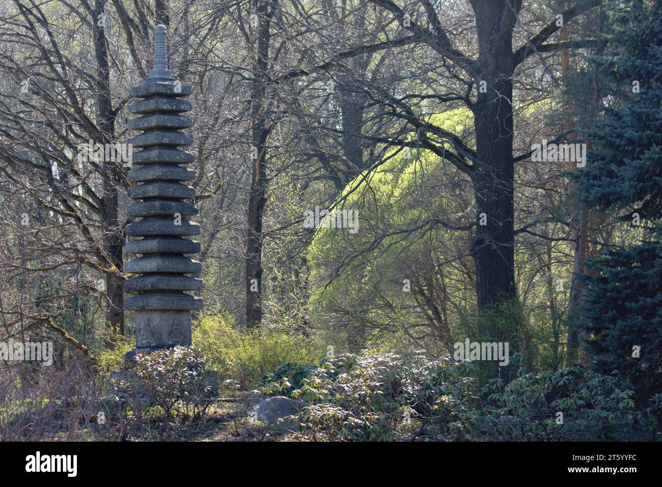 13-stufige Steinpagode im Botanischen Hauptgarten der Russischen Akademie der Wissenschaften. Japanischer Garten. Frühlingsnatur. Malerische Landschaft mit spr Stockfoto