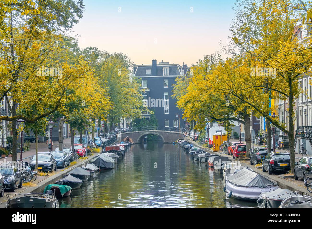 Niederlande. Herbsttag auf einem Kanal im Zentrum von Amsterdam. Gelbes Laub über geparkten Autos und Booten Stockfoto