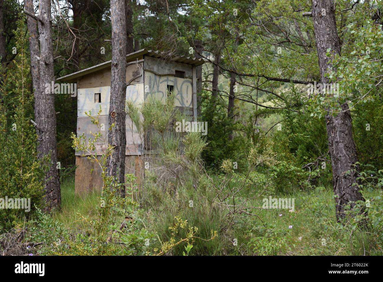 Ein verstecktes, verborgenes oder getarntes Holzjagdblindlings, Hunters Hut, Shooting Hide, Shed oder Machan in the Forest France Stockfoto