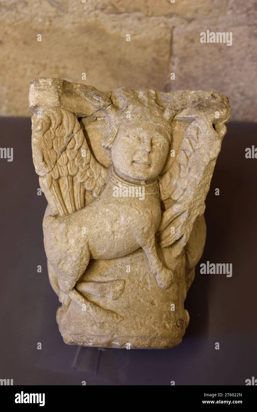 Stein geschnitzte Hauptstadt mythische Kreatur halb Mensch halb Tier oder Mensch mit Flügeln und Rindern oder Eselskörper Klosterkirche Saint Trophime Arles Frankreich Stockfoto