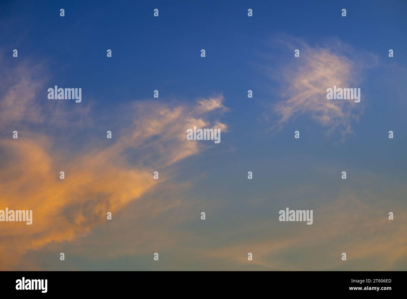 Abendliche Wolkenlandschaft. Weiße, hochrangige Zirruswolken mit orangefarbener Färbung vor blauem Himmel. Detailansicht. Stockfoto