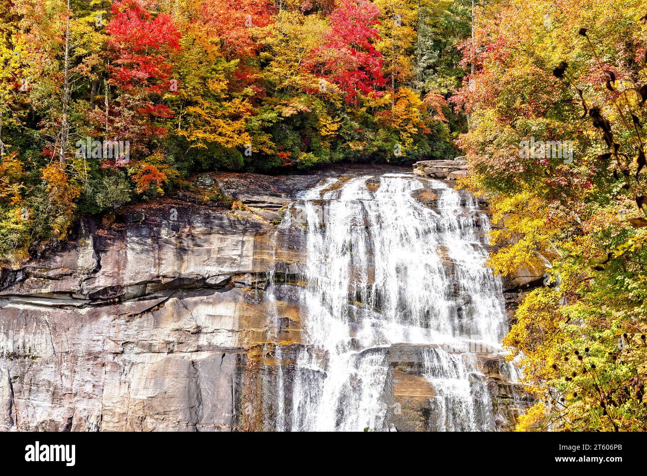 Rainbow Falls im Herbst, ein Wasserfall im westlichen North Carolina, am Horsepasture River im Pisgah National Forest. Stockfoto