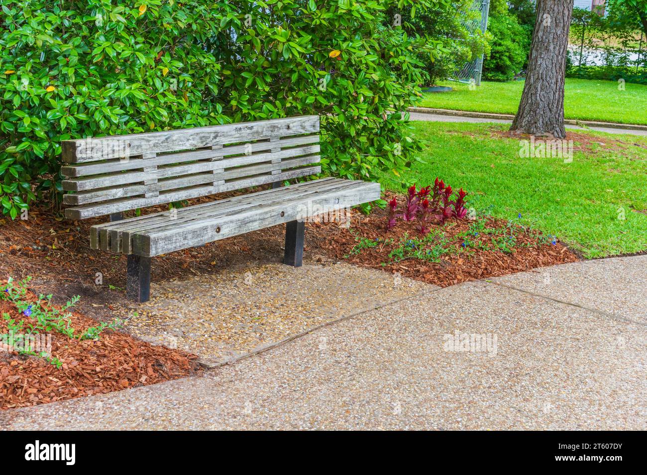 Parkbank am Gartenweg im Tyler Municipal Rose Garden in Tyler, Texas. Stockfoto