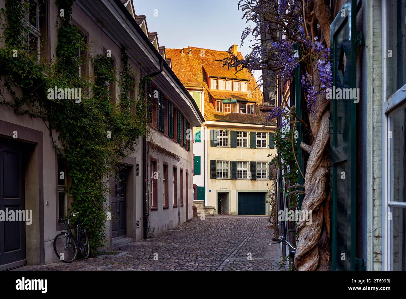 Schweiz, Basel, Basel, Baselstadt, Untererer Heuberg, Heuberg, Gasse, Glyzinien, Stockfoto