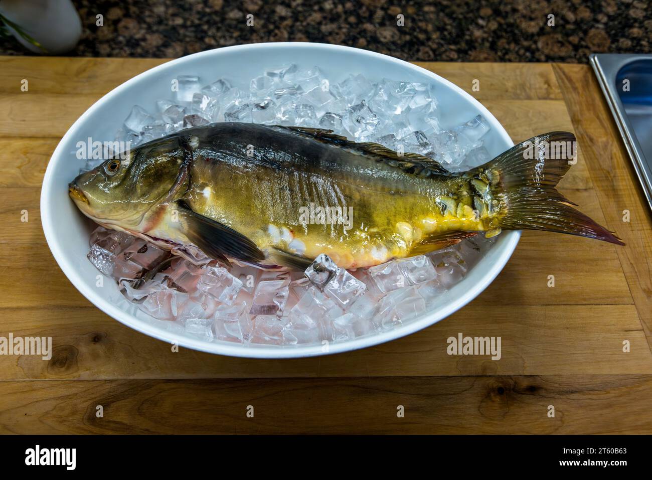 Frisch geschlachteter Spiegelkarpfen auf Eis. Waldsassen, Deutschland Stockfoto