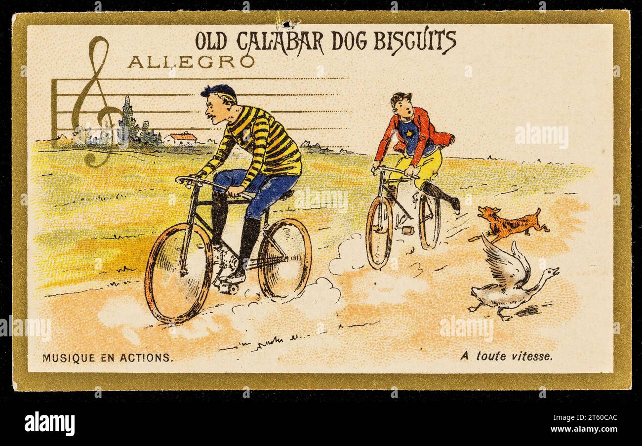 Eine Chromolithographie-Handelskarte, die Old Calabar Dog Biscuits anzeigt. 1890er Jahre Stockfoto