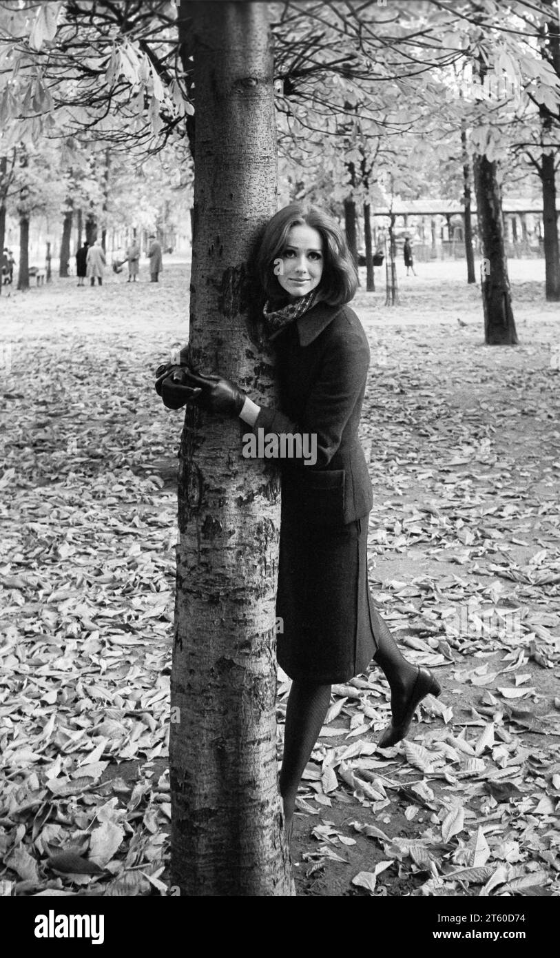 1960er Jahre, weibliches Model, das einen Baum umschließt, Garten Jardin des Tuileries, Paris, Frankreich, Europa, Stockfoto
