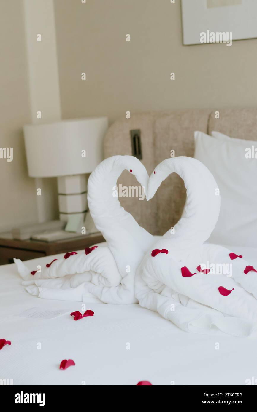 Süßes Zimmer im Urlaub, Swan Handtuchdekoration auf dem Bett mit weißem Kissen im Schlafzimmer. Stockfoto