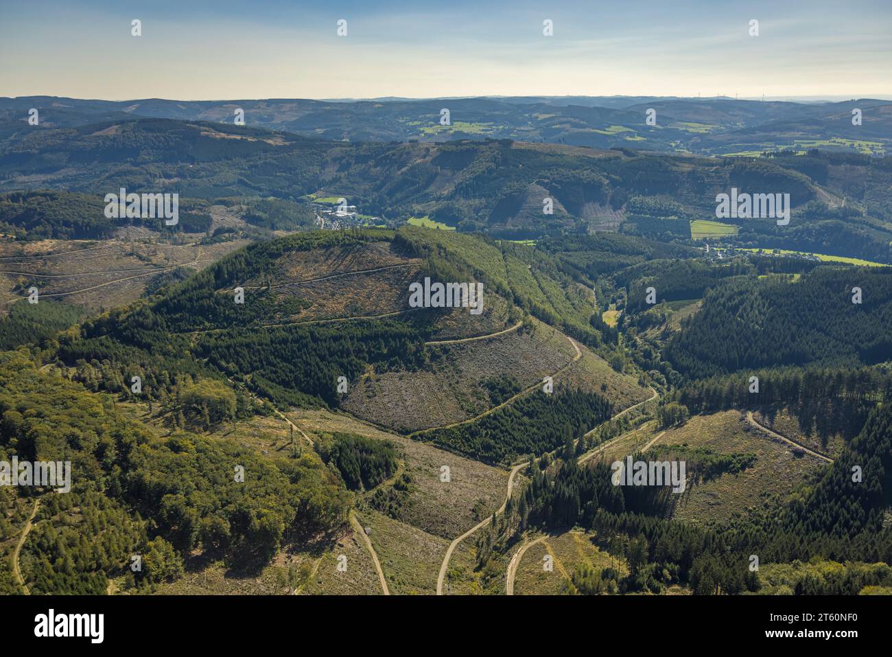 Luftaufnahme, Waldgebiet Weissenstein mit Waldschäden, Halberbracht, Lennestadt, Sauerland, Nordrhein-Westfalen, Deutschland, Baumtod, Berg t Stockfoto