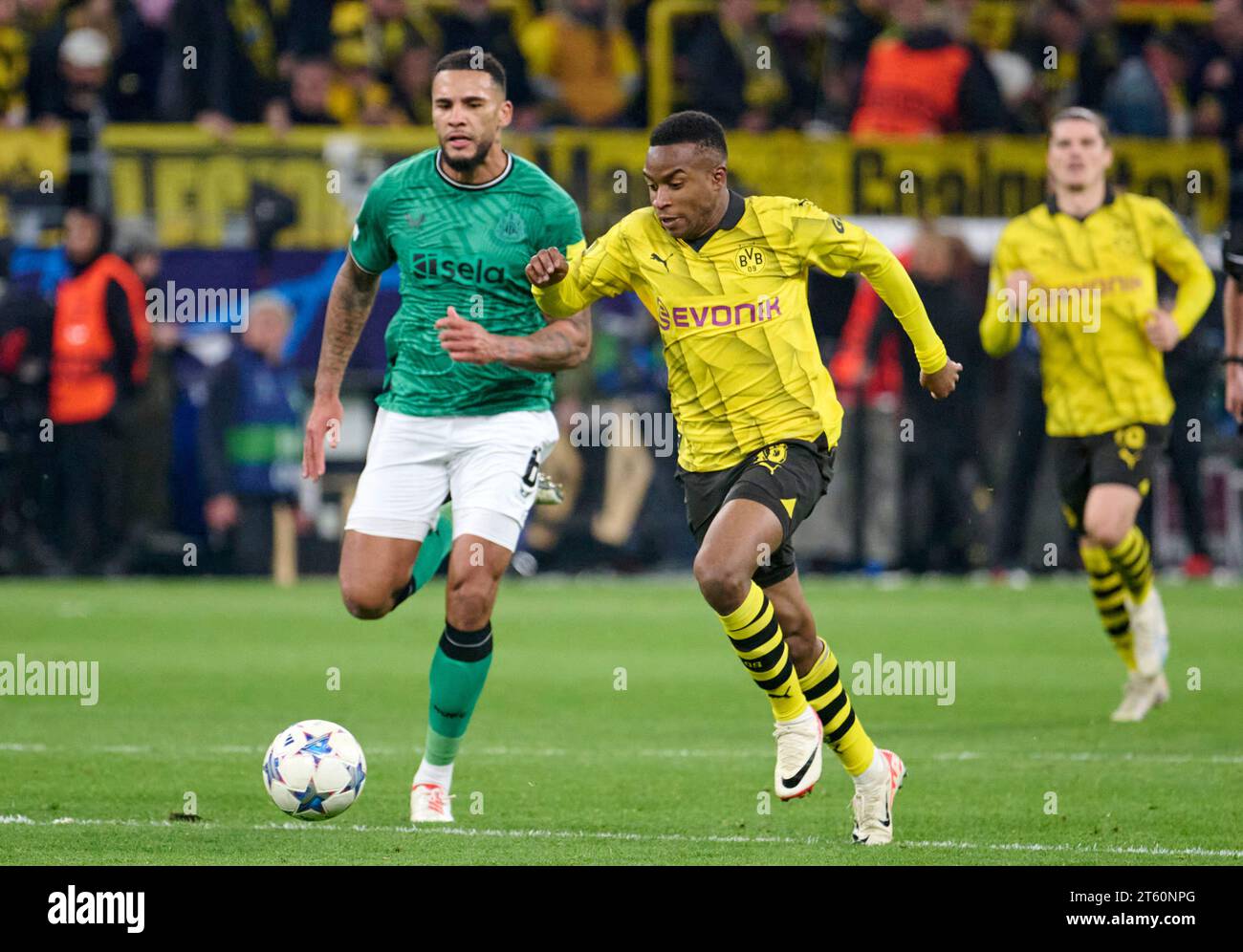 Dortmund, Deutschland. November 2023. Fußball: Champions League, Borussia Dortmund - Newcastle United, Gruppenphase, Gruppe F, Spieltag 4, Signal Iduna Park. Dortmunds Youssoufa Moukoko (r) und Newcastle's Jamaal Lascelles in Aktion. Quelle: Bernd Thissen/dpa/Alamy Live News Stockfoto