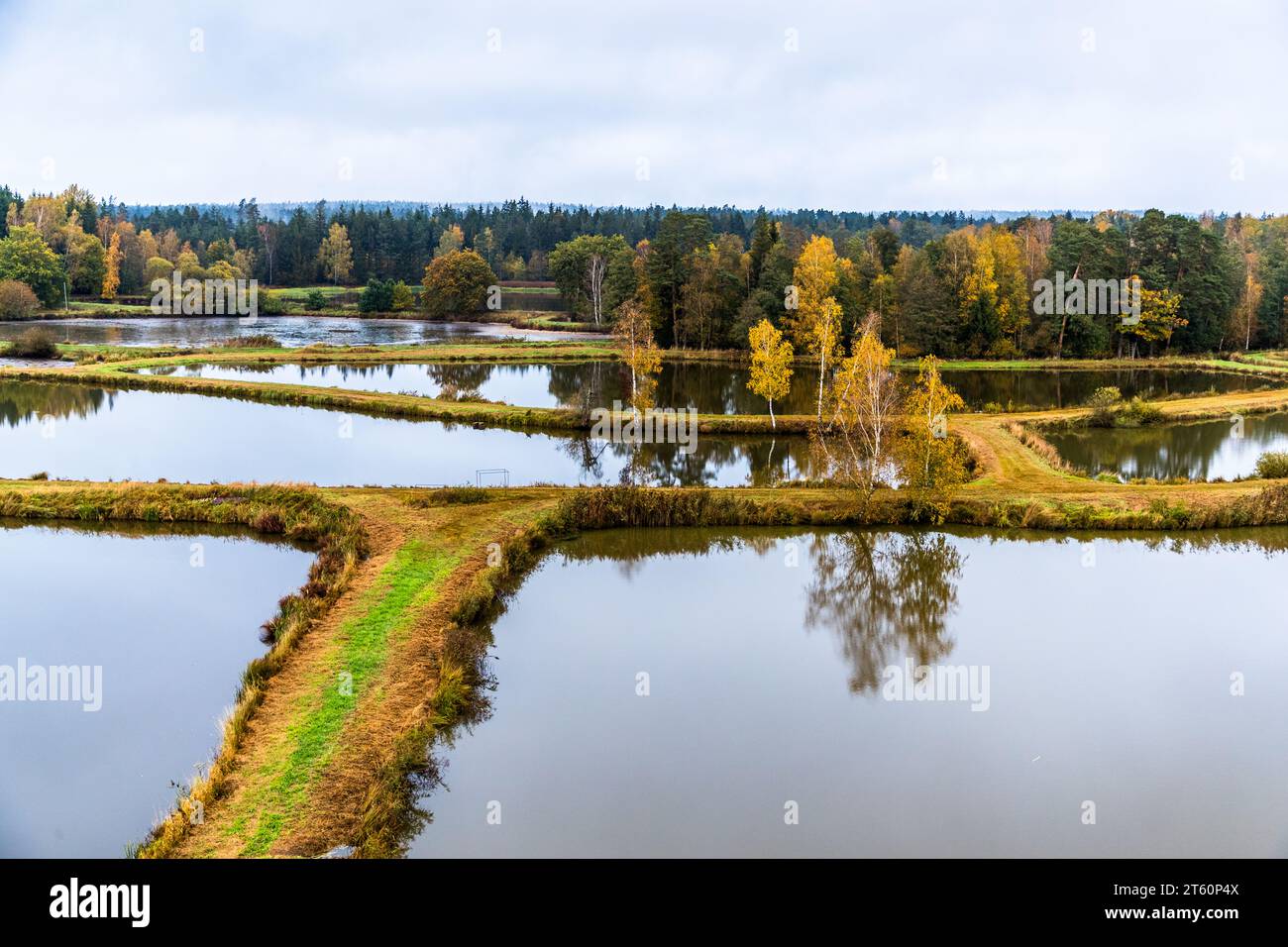 Tirschenreuth Teichpfanne und Naturschutzgebiet Waldnaabaue im Oberpfälzer Wald. Die ersten Teiche für die Fischzucht wurden hier vor mehr als 1.000 Jahren angelegt. Tirschenreuth, Deutschland Stockfoto