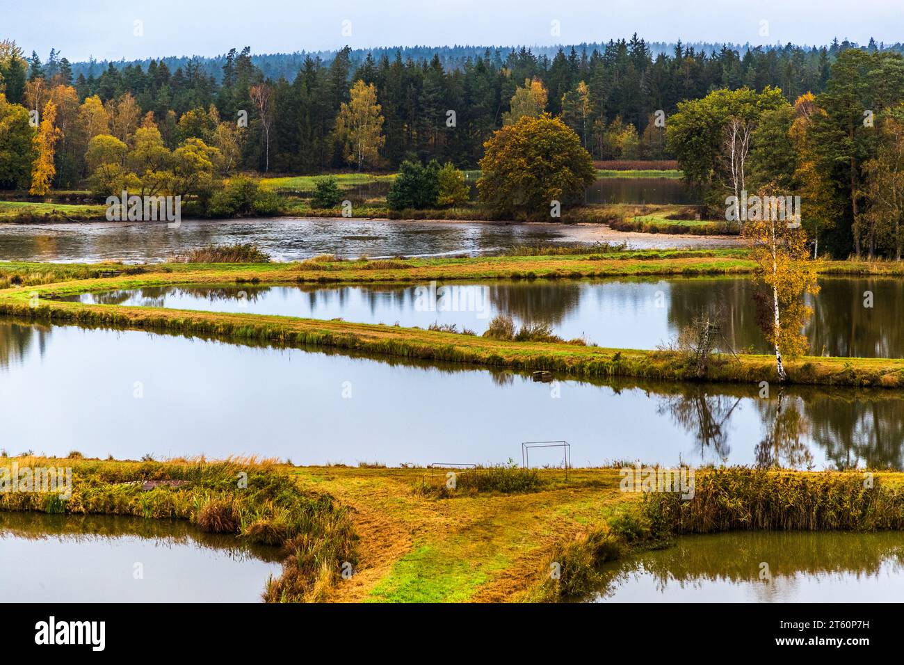 Die Tirschenreuther Teichpfanne erscheint als Mosaik aus Wasser, Wald und Wiesen. Im Hintergrund liegt ein entwässerter Teich, aus dem der Karpfen bereits herausgefangen wurde. Blick vom Himmelsleiter-Blickturm auf den Vizinalbahnradweg. Tirschenreuth, Bayern, Deutschland. Stockfoto