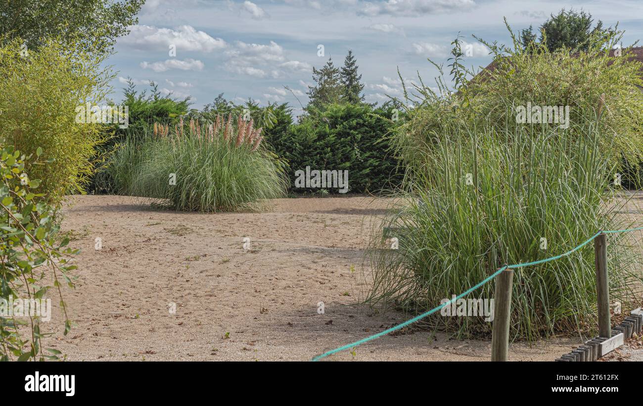 Blick über ein sandiges Gartengrundstück über einen Seilzaun auf Pflanzen und Laub Stockfoto