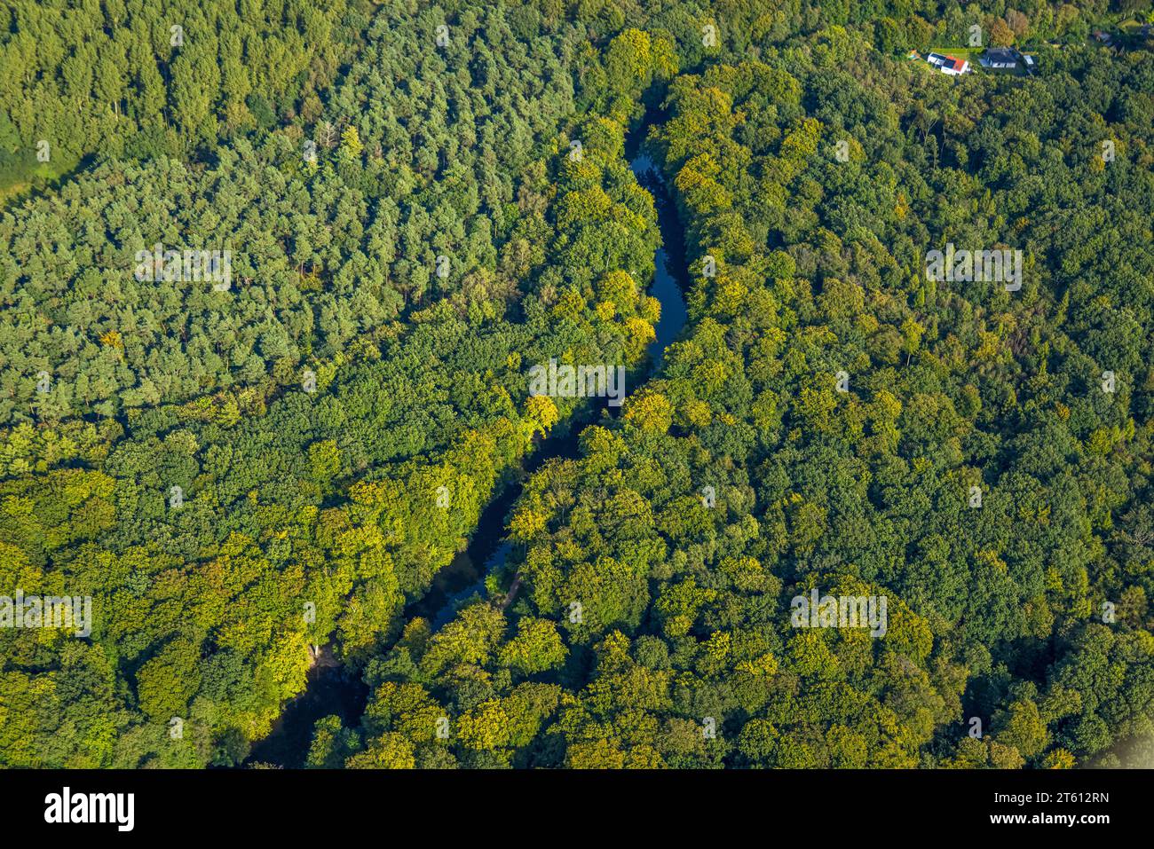 Aus der Vogelperspektive, Fluss Stever im Wald zwischen Haltern und Hullerner Stausee, Stockwiese, Haltern am See, Ruhrgebiet Münsterland, Nord-Rh Stockfoto