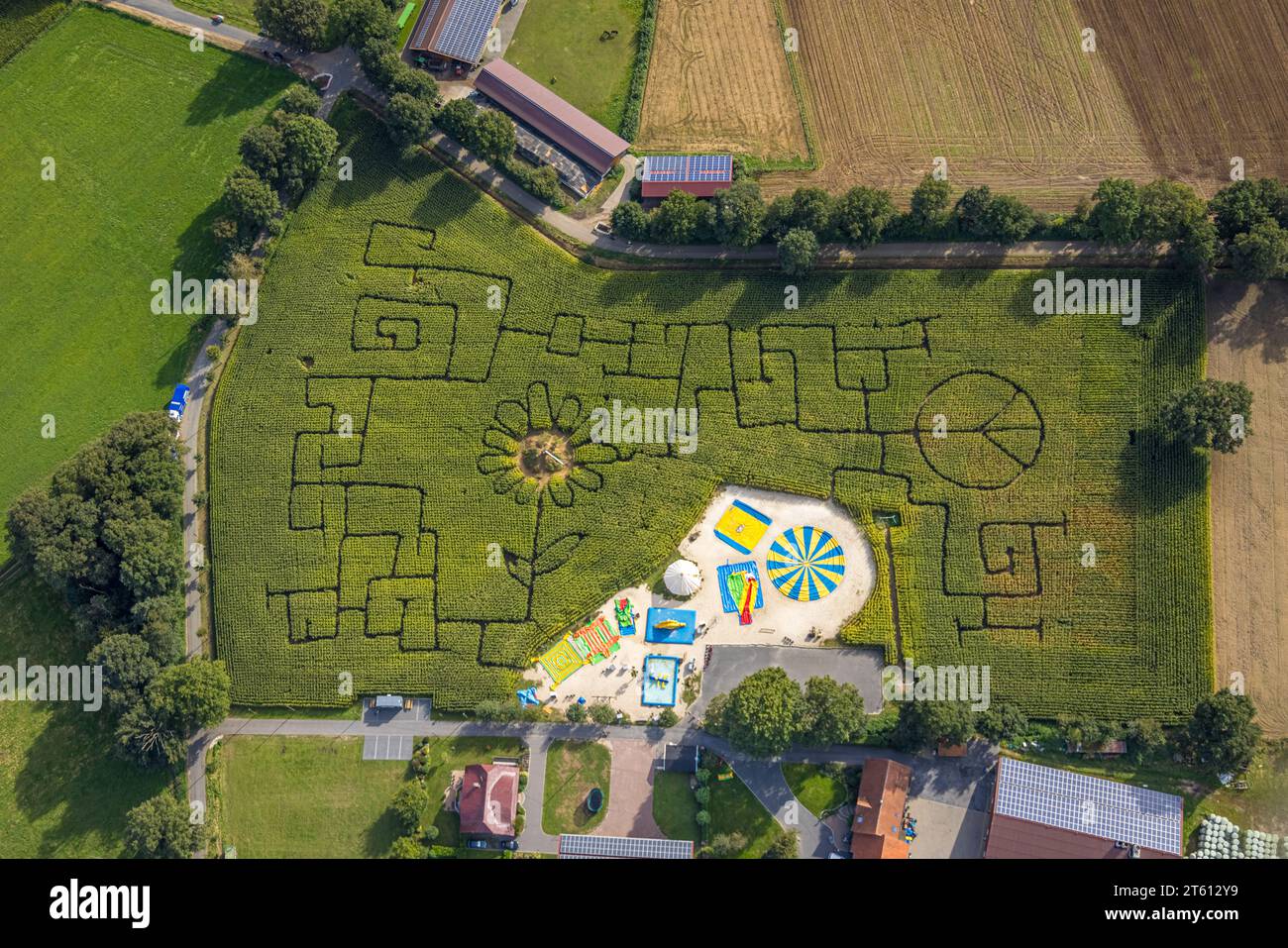 Luftaufnahme, Maislabyrinth Terhardt und Vergnügungspark, Sonnenblume im Feld, Lippramsdorf, Haltern am See, Ruhrgebiet Münsterland, Nordrhein-Westfalen Stockfoto