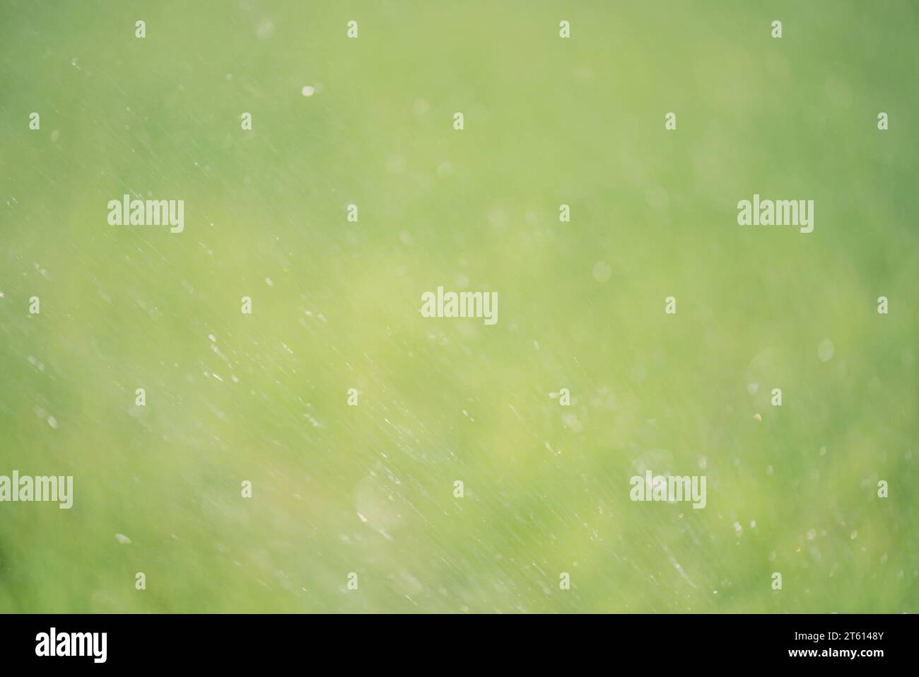 Reflexionen von Tropfen, Bokeh. Abstrakter, unscharfer grüner natürlicher Hintergrund mit Unschärfe-Licht. Stockfoto
