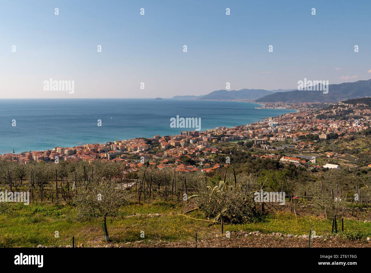 Panoramablick auf die PalmenRiviera von einem Olivenhain mit den Küstenstädten Pietra Ligure, Loano und der Insel Gallinara, Savona, Ligurien Italien Stockfoto